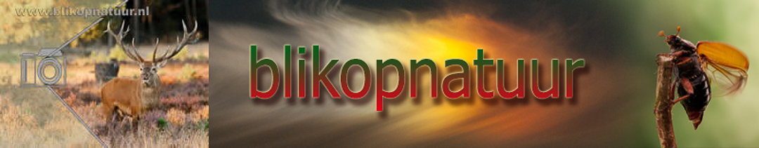 blikopnatuur.nl